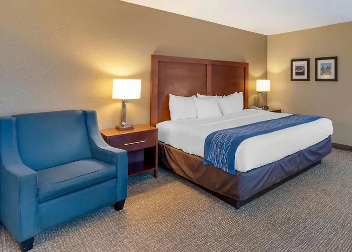 Comfort Inn Elizabeth City Near University